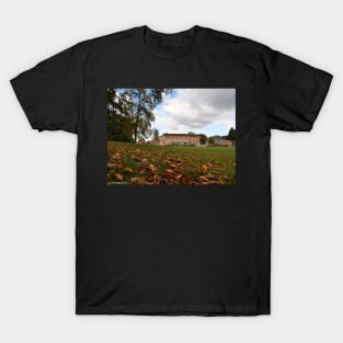 Autumn leaves in front of South Hill Park Arts centre T-Shirt